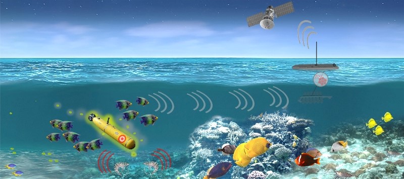 DARPA資助五個團隊進行持久性水生生物傳感器計劃